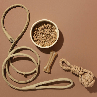 Rope / Tug Toys